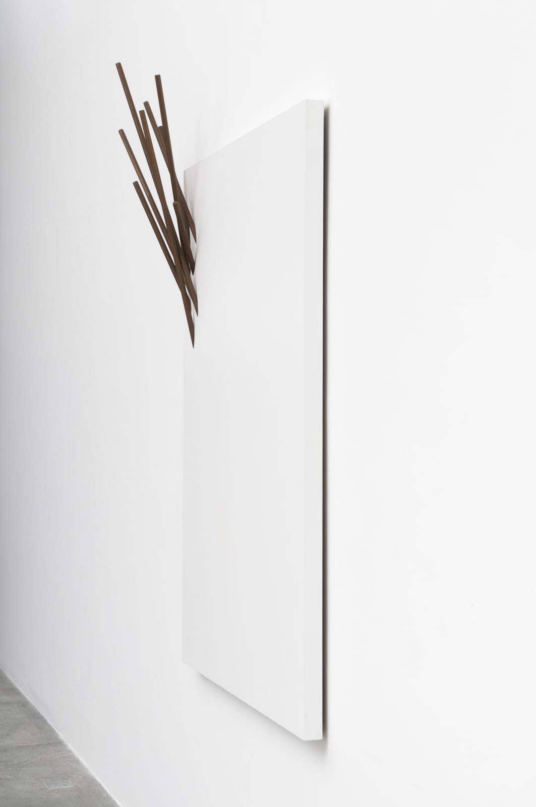 Valdirlei Dias Nunes, Untitled, 2012