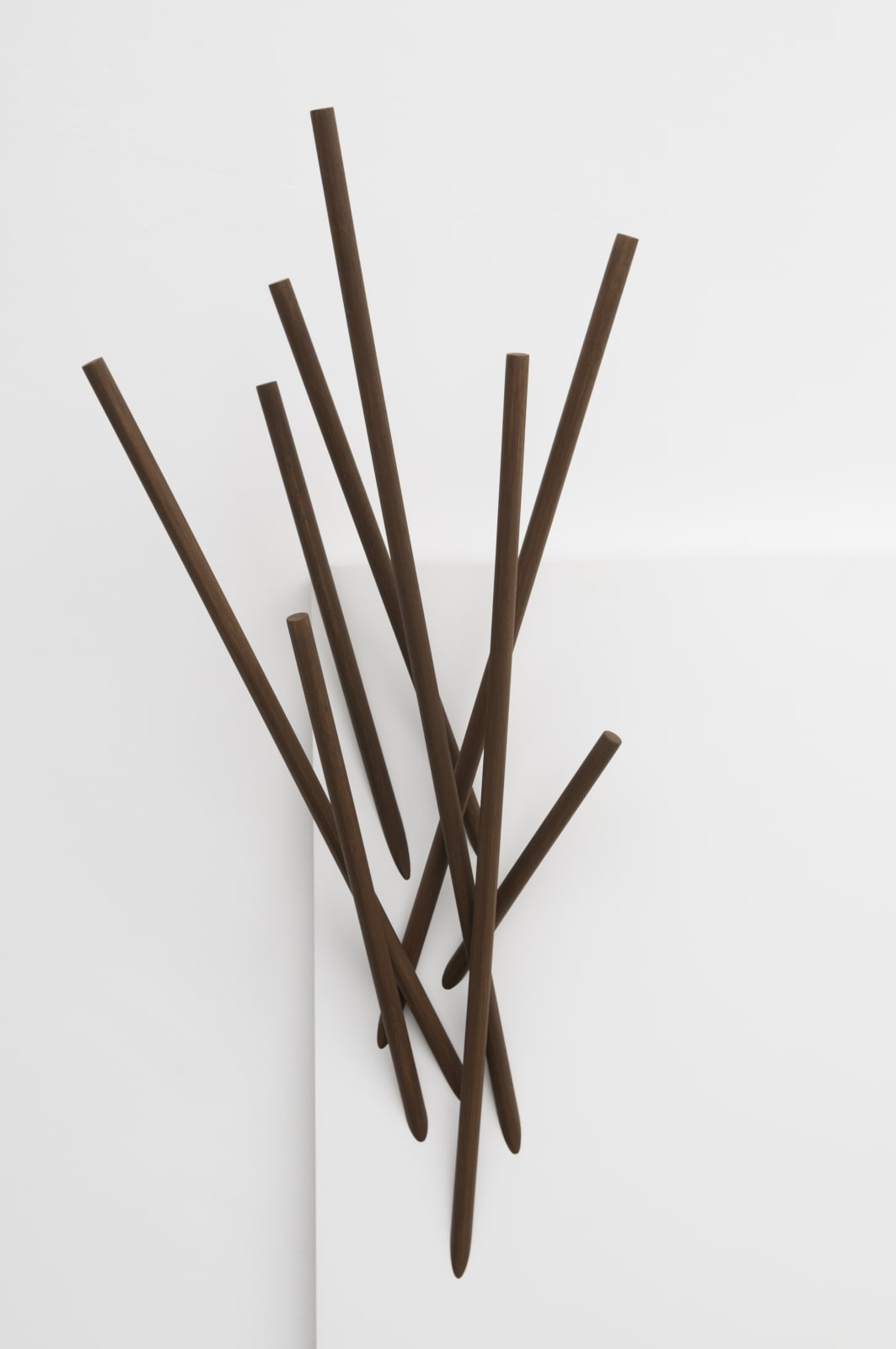 Valdirlei Dias Nunes, Untitled, 2012
