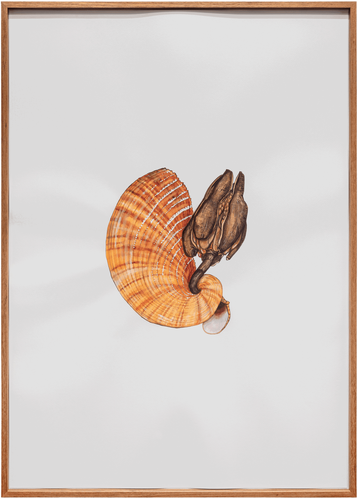 Mariana Palma, Untitled, 2020