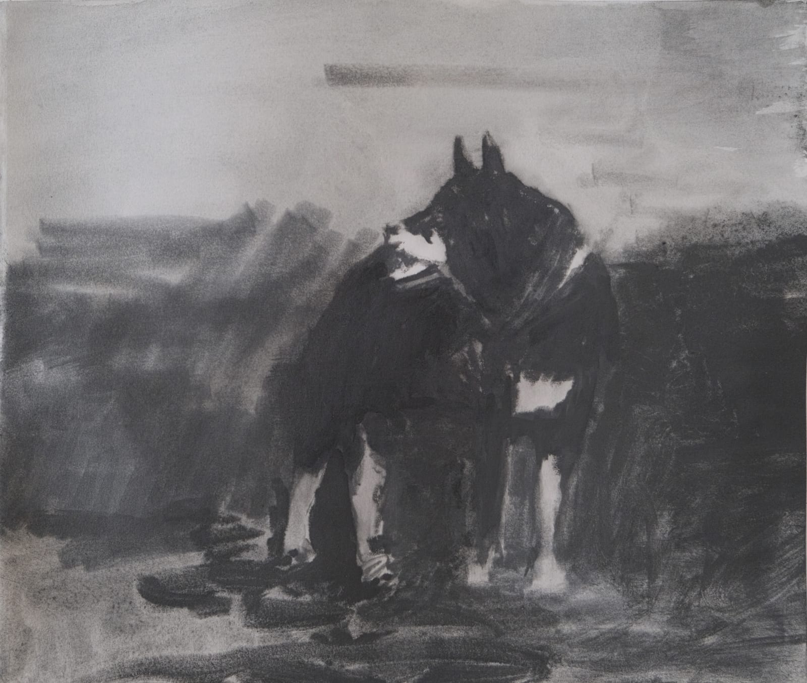 Eduardo Berliner, Cão, 2019