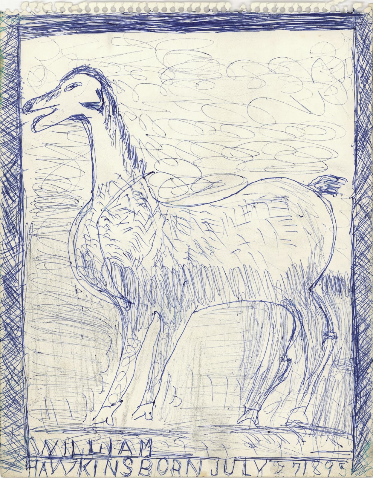 Horse #1 Ballpoint pen and graphite on paper 14 x 11 in. (35.6 x 27.9 cm) (WH 431)