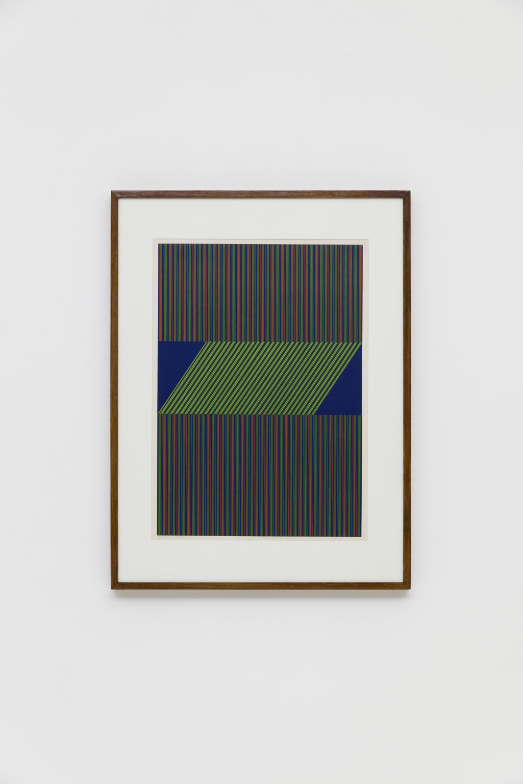 Dionísio Del Santo, Retícula Vibratória Variação Única 1/1, sem data