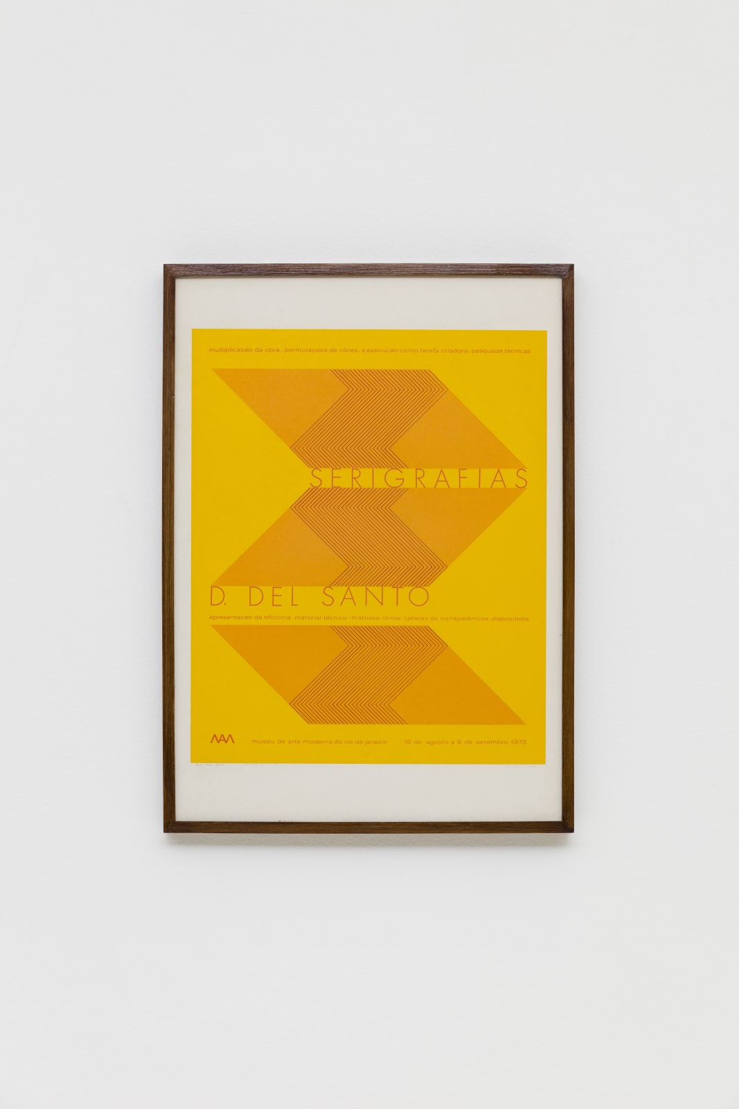 Dionísio Del Santo, Esquema 1/100 Variação Única 1/1, 1973