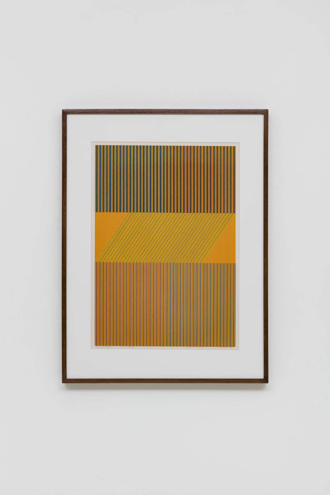 Dionísio Del Santo, Retícula Vibratória Tema 5/118 variação única 1/1, 1973