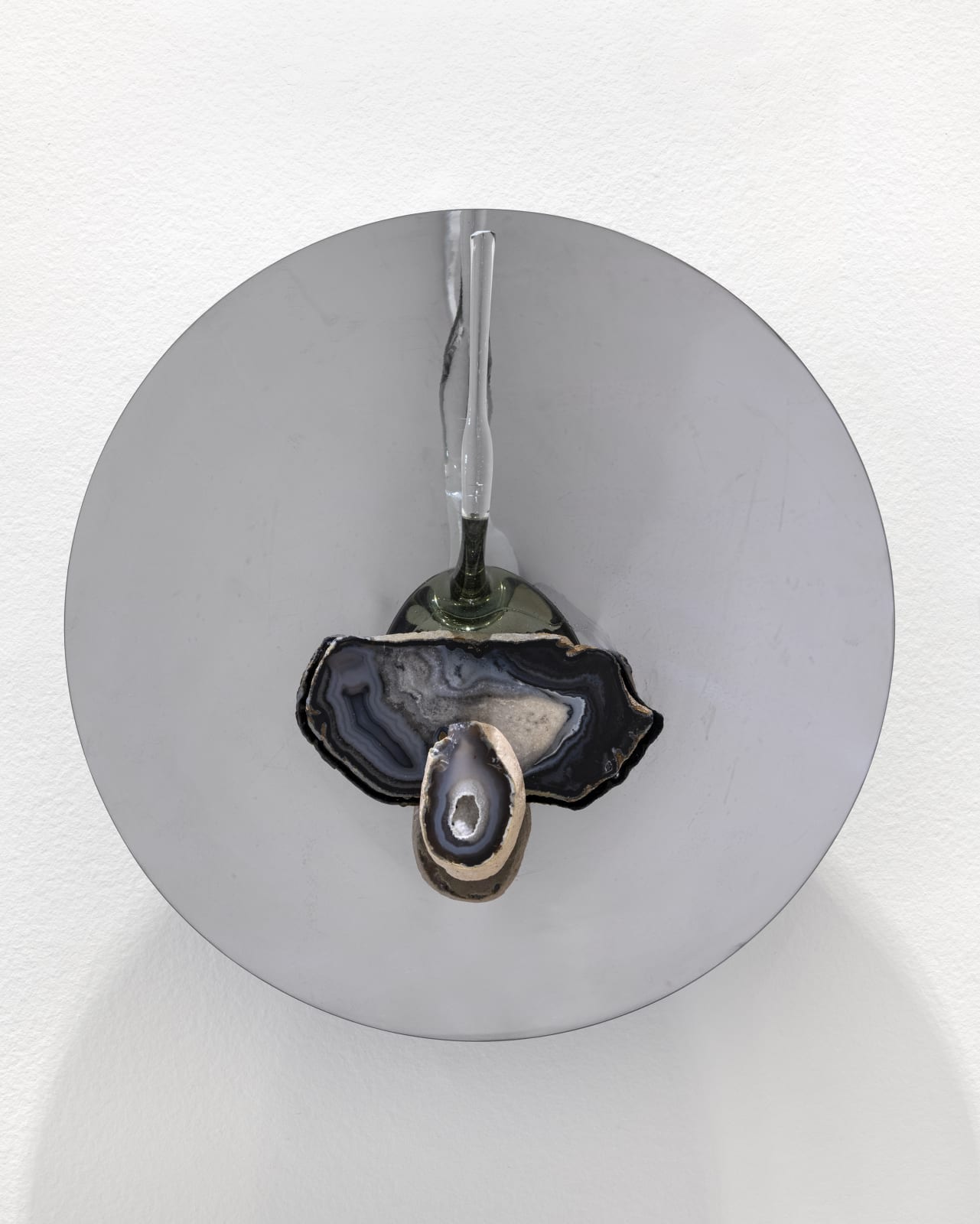 Denise Milan, Poção da natureza da metamorfose, 2020