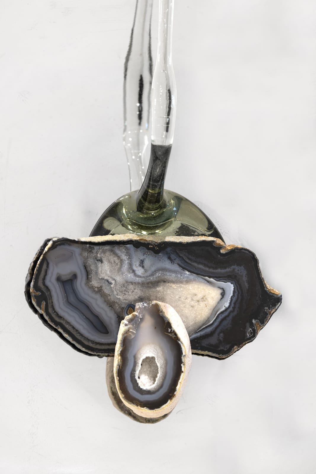 Denise Milan, Poção da natureza da metamorfose, 2020