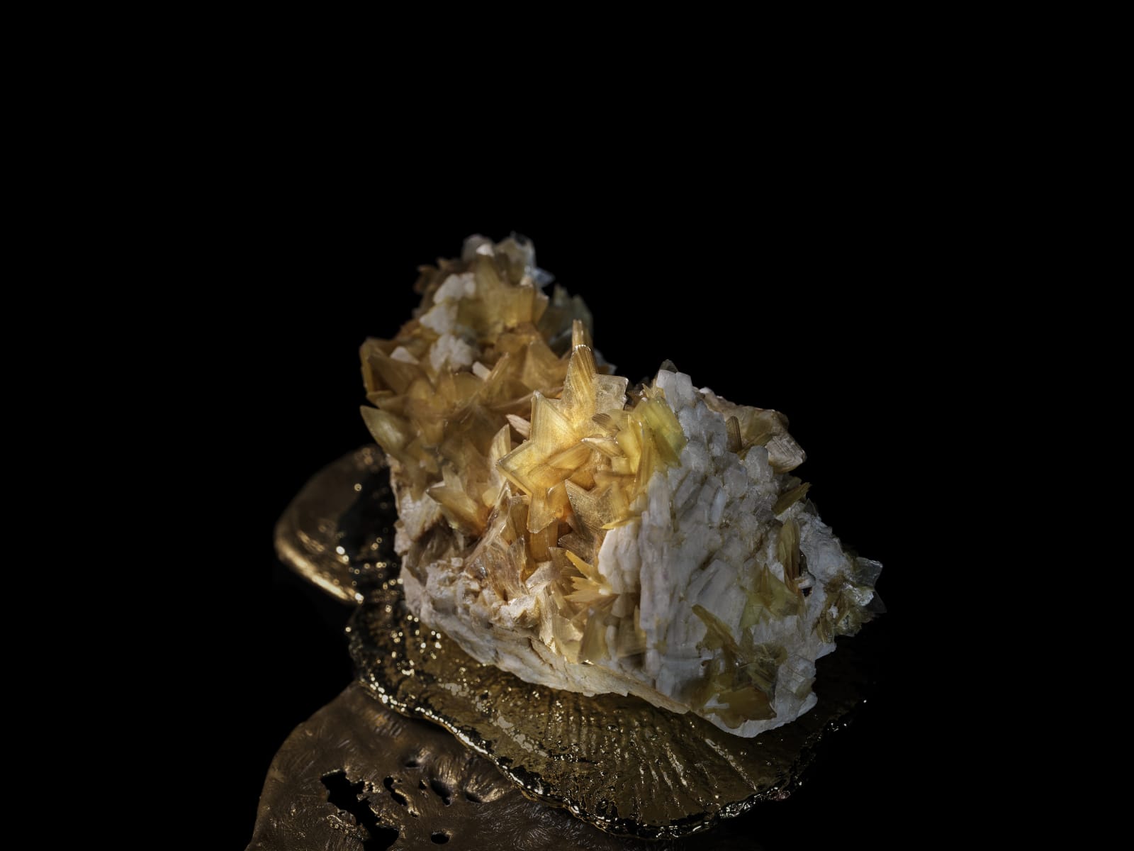 Denise Milan, Banquete da Terra, 2018