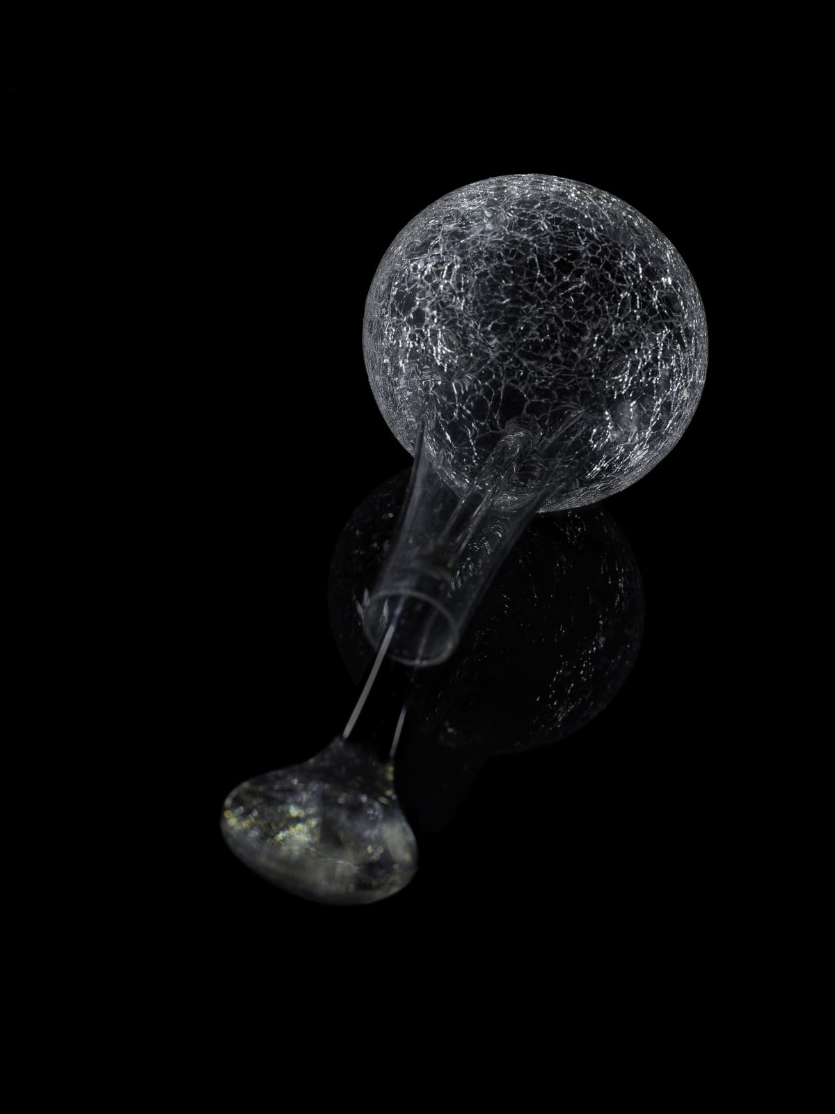 Denise Milan, Banquete da Terra, 2018