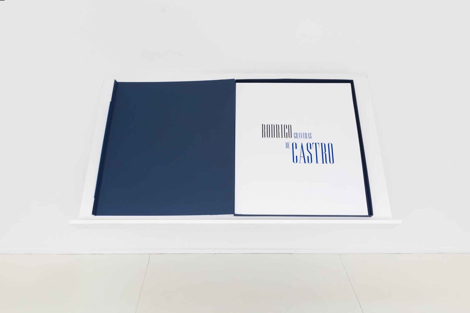 Rodrigo de Castro, sem título, 2021