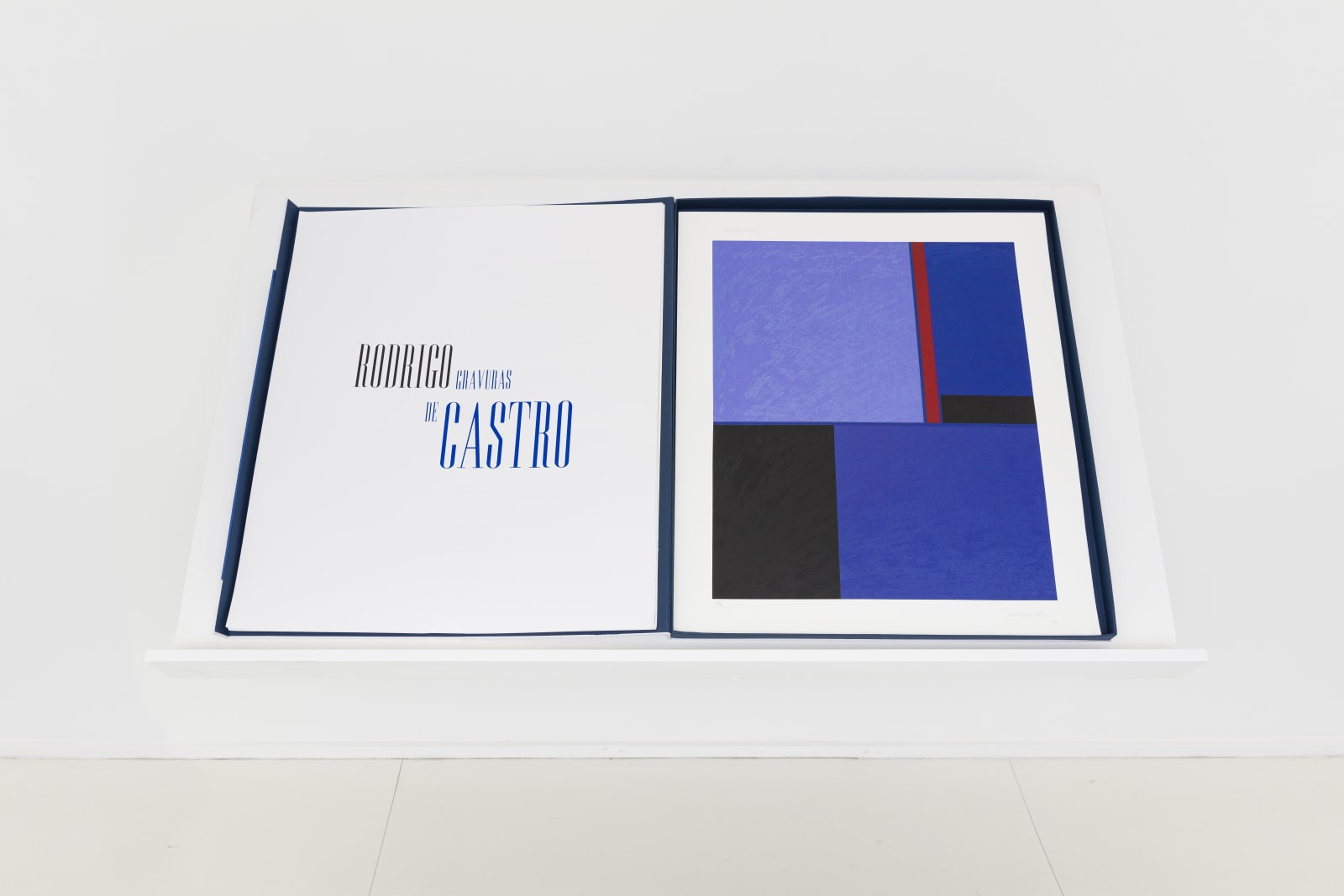 Rodrigo de Castro, sem título, 2021