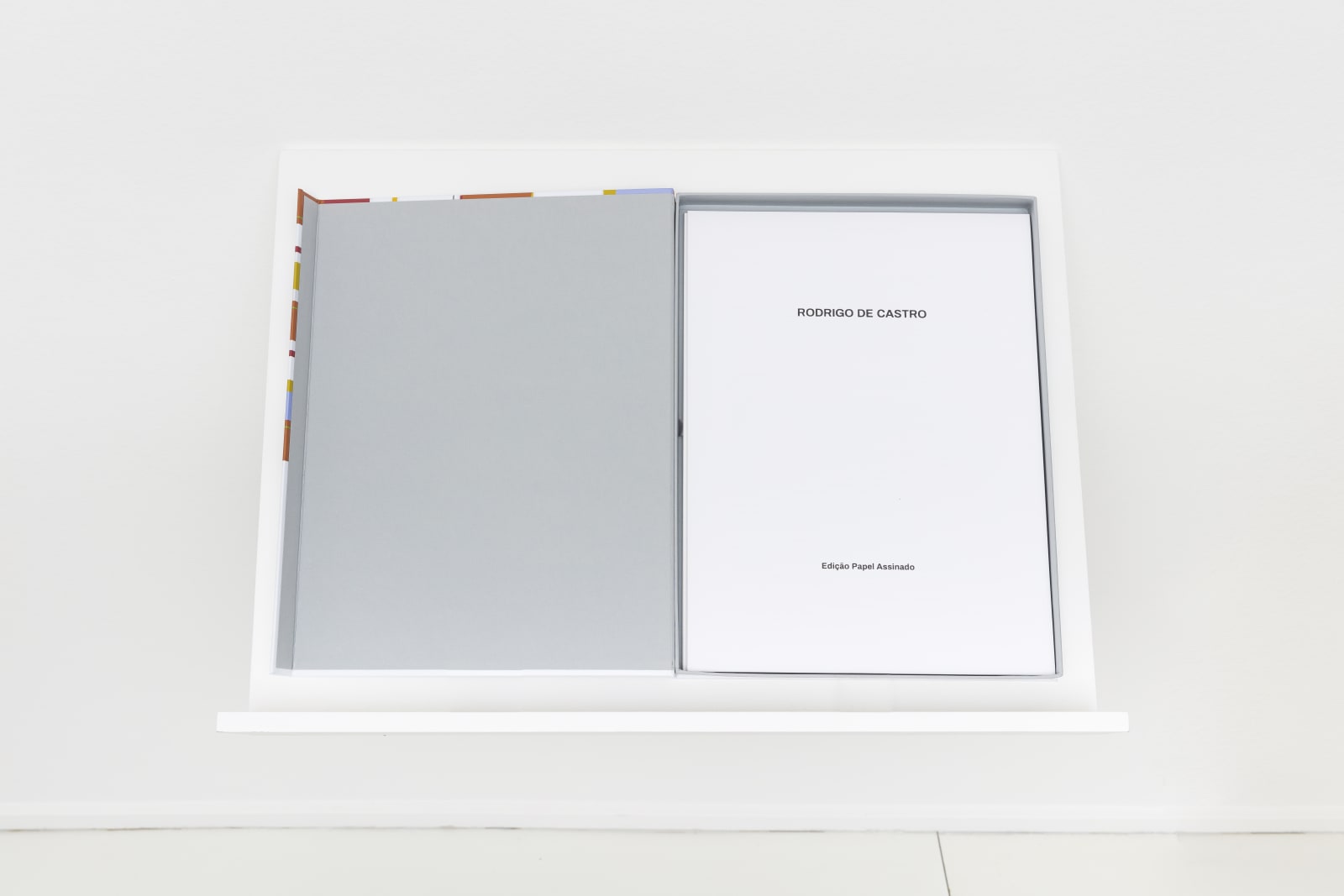 Rodrigo de Castro, sem título, 2020