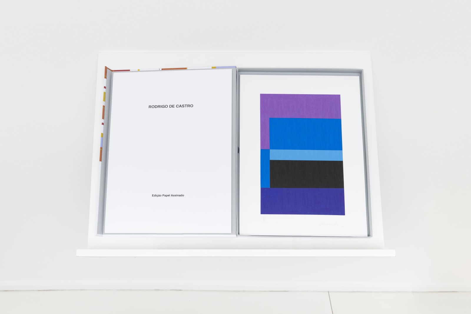 Rodrigo de Castro, sem título, 2020