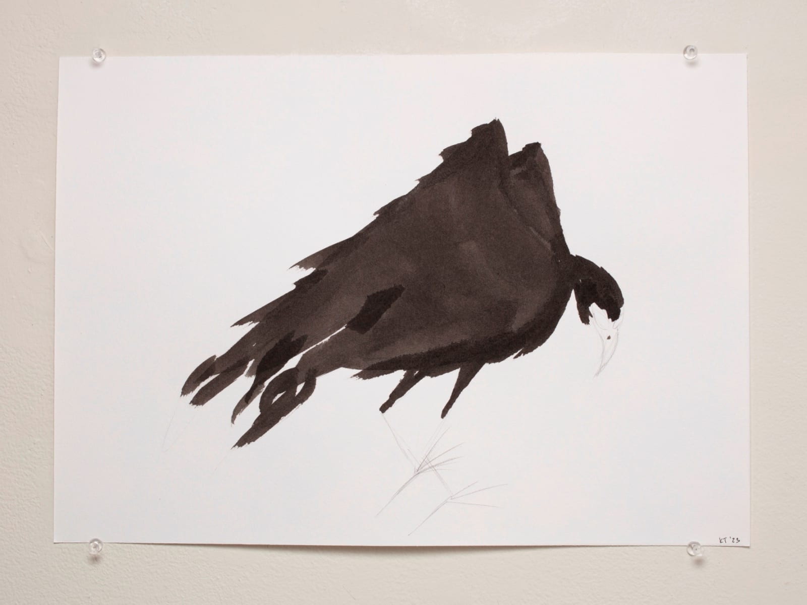 Katherine Taylor, Crow, 2023