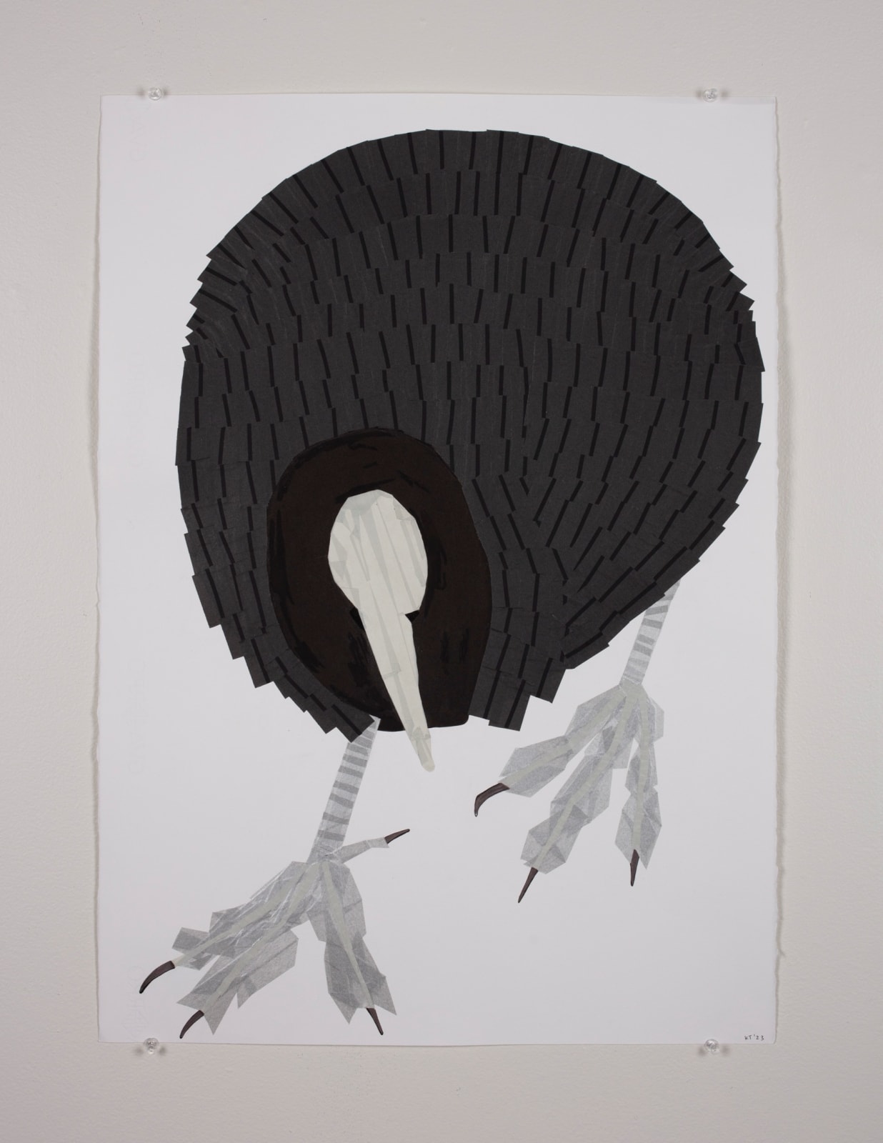 Katherine Taylor, Common Coot, 2023