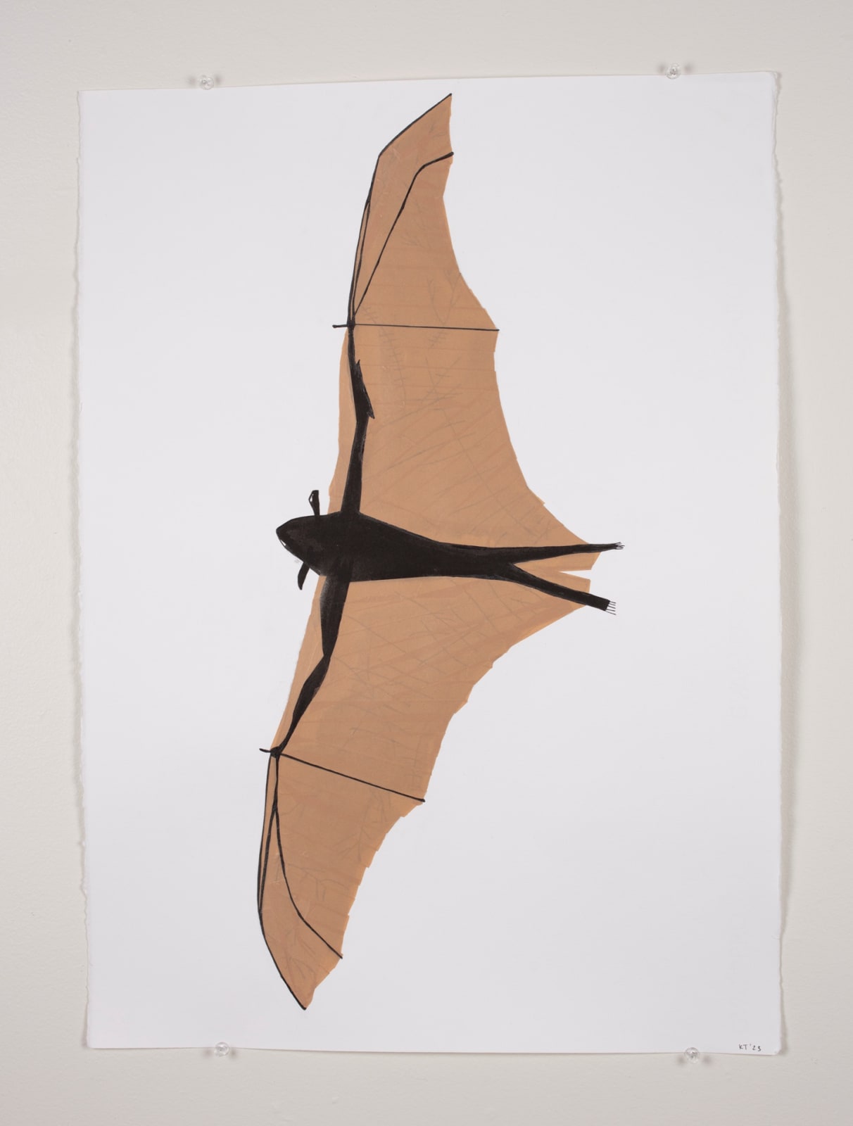 Katherine Taylor, Bat, 2023