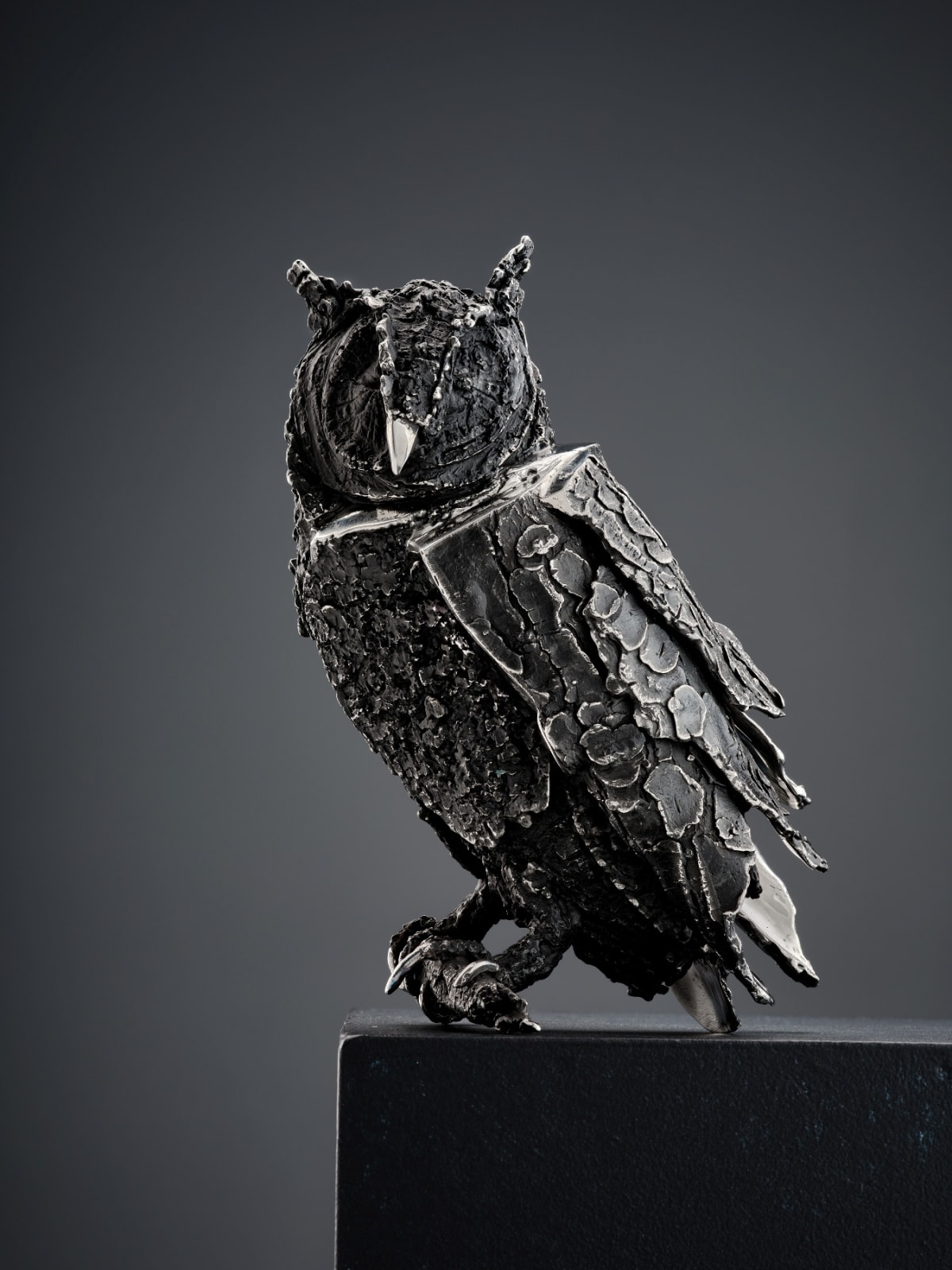 Katherine Taylor, Bark Owl , 2023