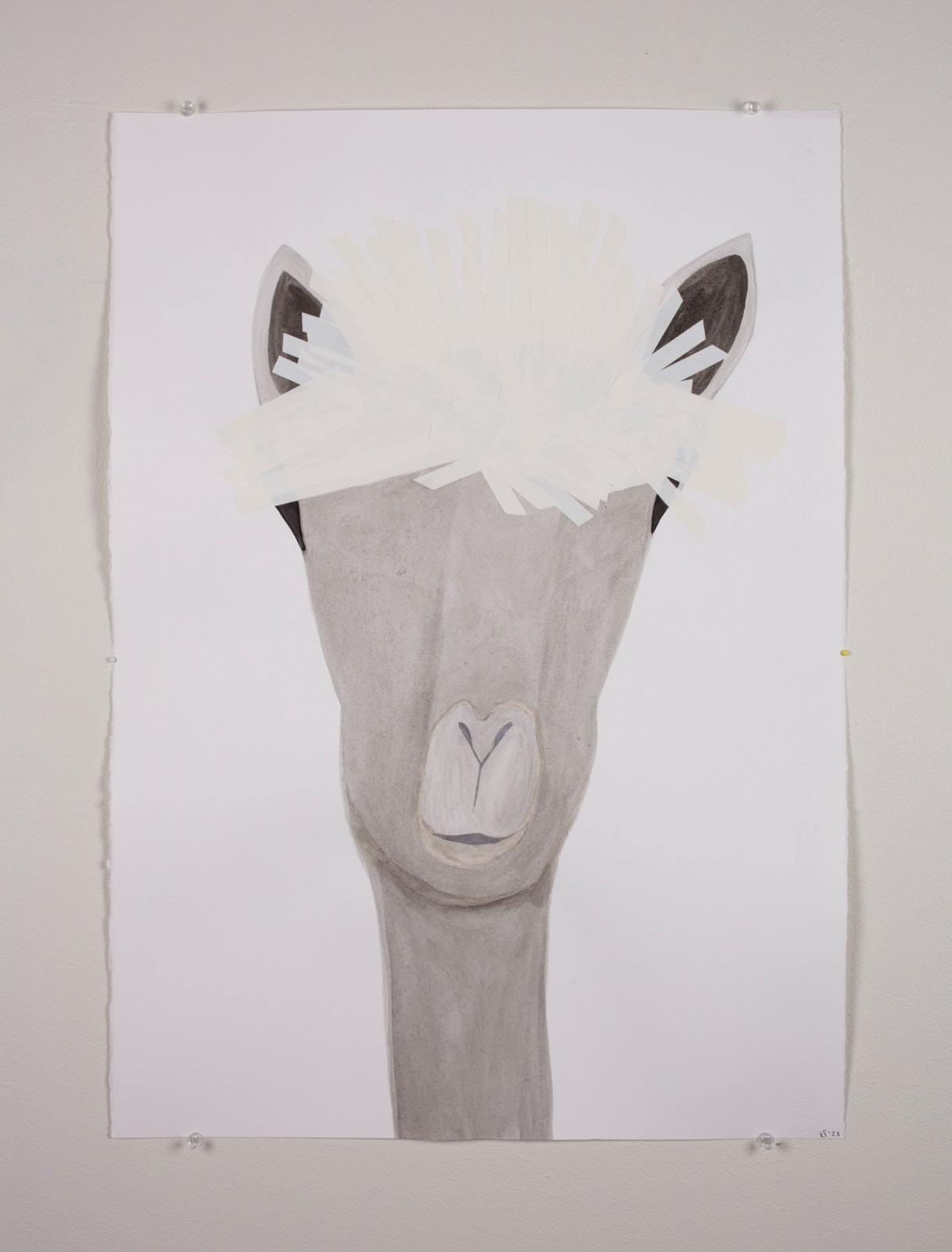 Katherine Taylor, Llama, 2023