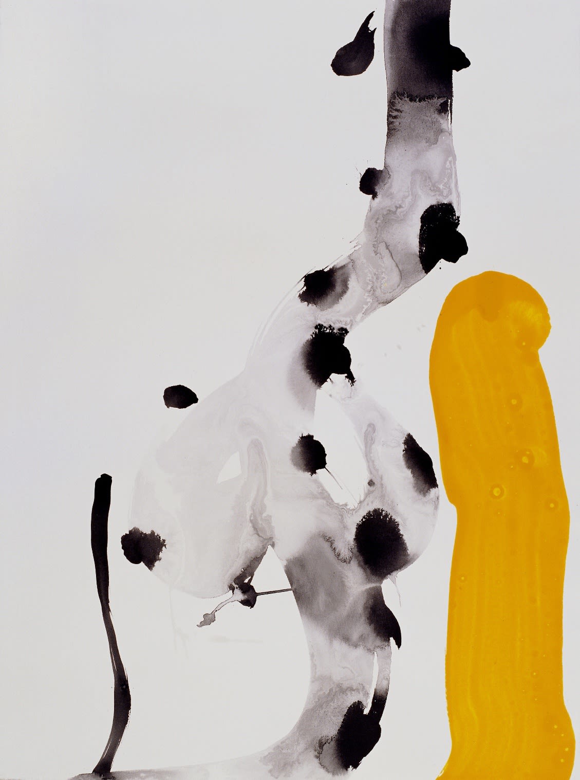 Peter Wayne Lewis, Beijing Booster #512, 2009