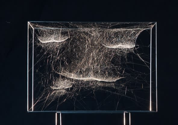 Tomás Saraceno, Gravitational solitary semi-social Choreophy 77 Ursae Majoris built by: a solo Nephila inaurata juvenile – one week, a quartet of Cyrtophora citricola juvenile – three weeks, 2018