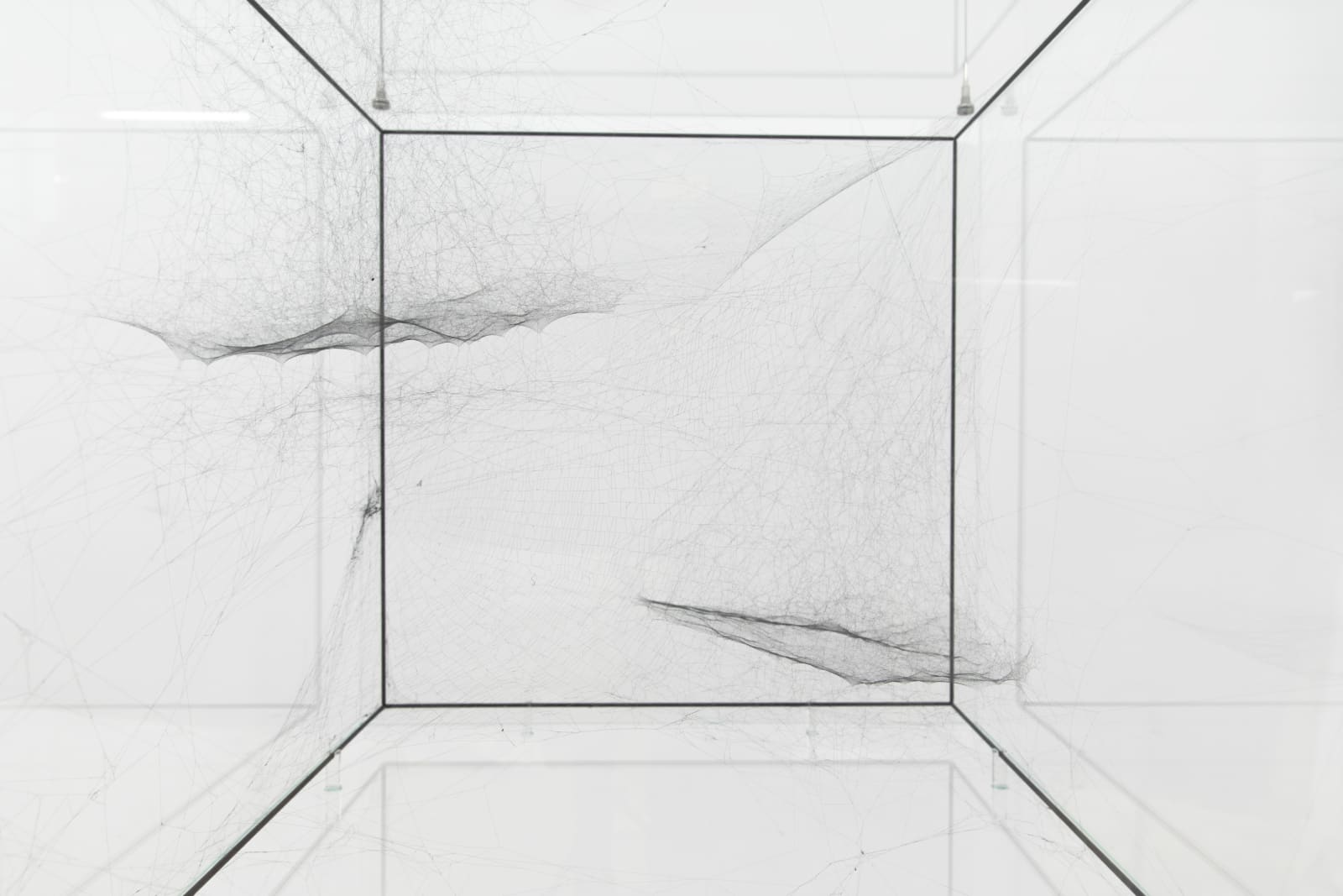 Tomás Saraceno, Hybrid solitary solitary solitary semisocial SAO 81265 built by: a solo Argiope – two weeks, a solo Nephila senegalensis – four weeks, a solo Cyrtophora citricola juvenile – one week, a solo Cyrtophora citricola – one week rotated 90, 2017