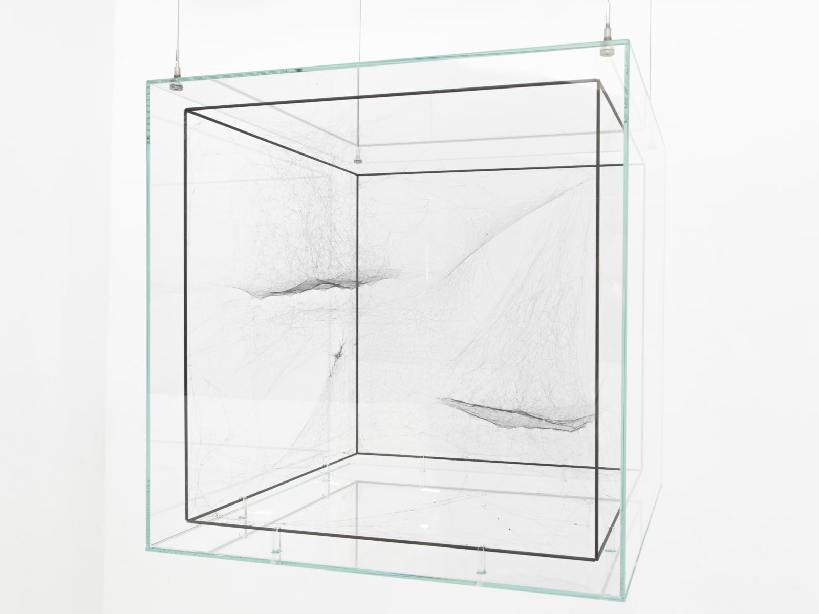 Tomás Saraceno, Hybrid solitary solitary solitary semisocial SAO 81265 built by: a solo Argiope – two weeks, a solo Nephila senegalensis – four weeks, a solo Cyrtophora citricola juvenile – one week, a solo Cyrtophora citricola – one week rotated 90, 2017