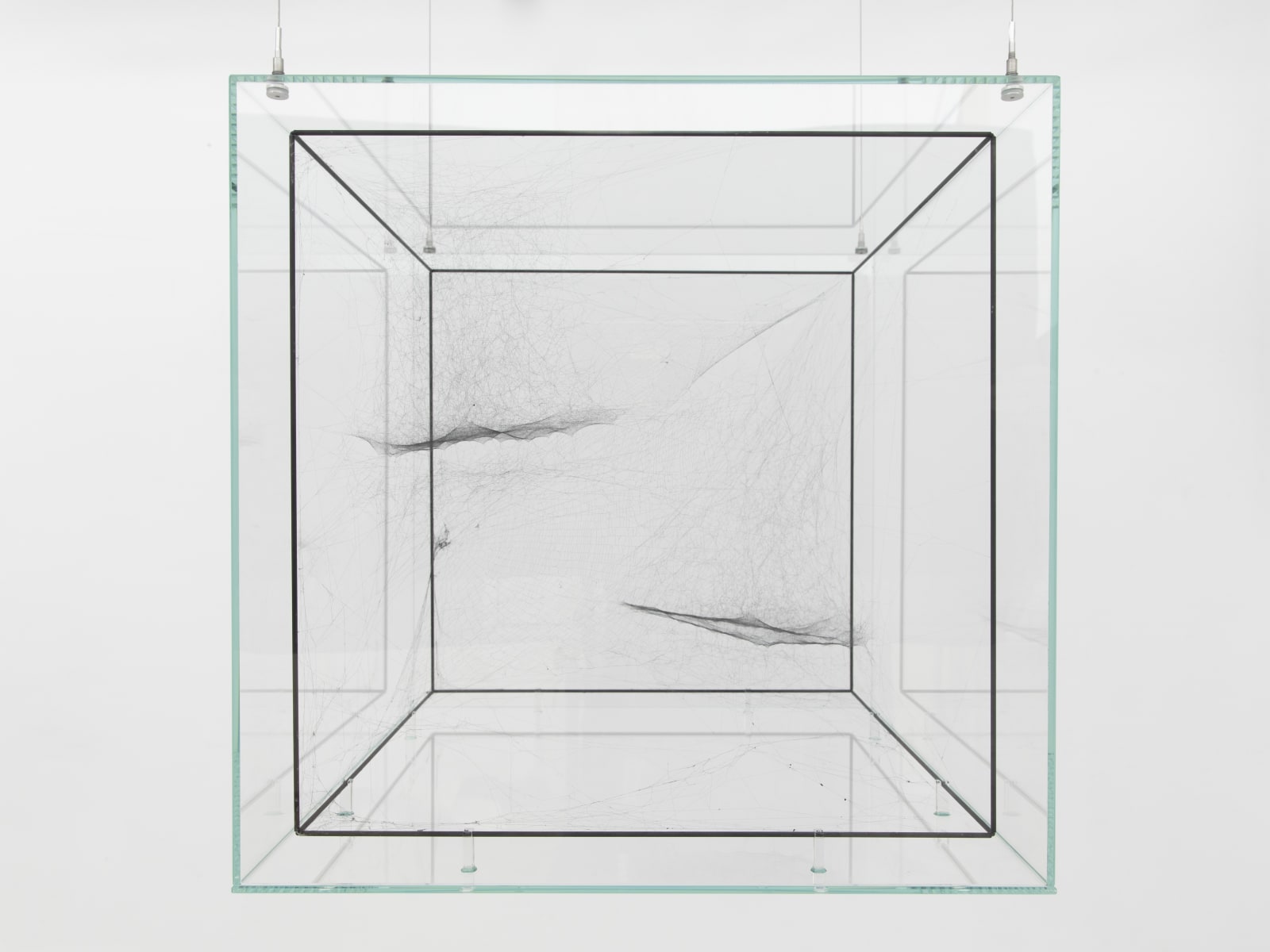 Tomás Saraceno, Hybrid solitary solitary solitary semisocial SAO 81265 built by: a solo Argiope – two weeks, a solo Nephila senegalensis – four weeks, a solo Cyrtophora citricola juvenile – one week, a solo Cyrtophora citricola – one week rotated 90, 2017
