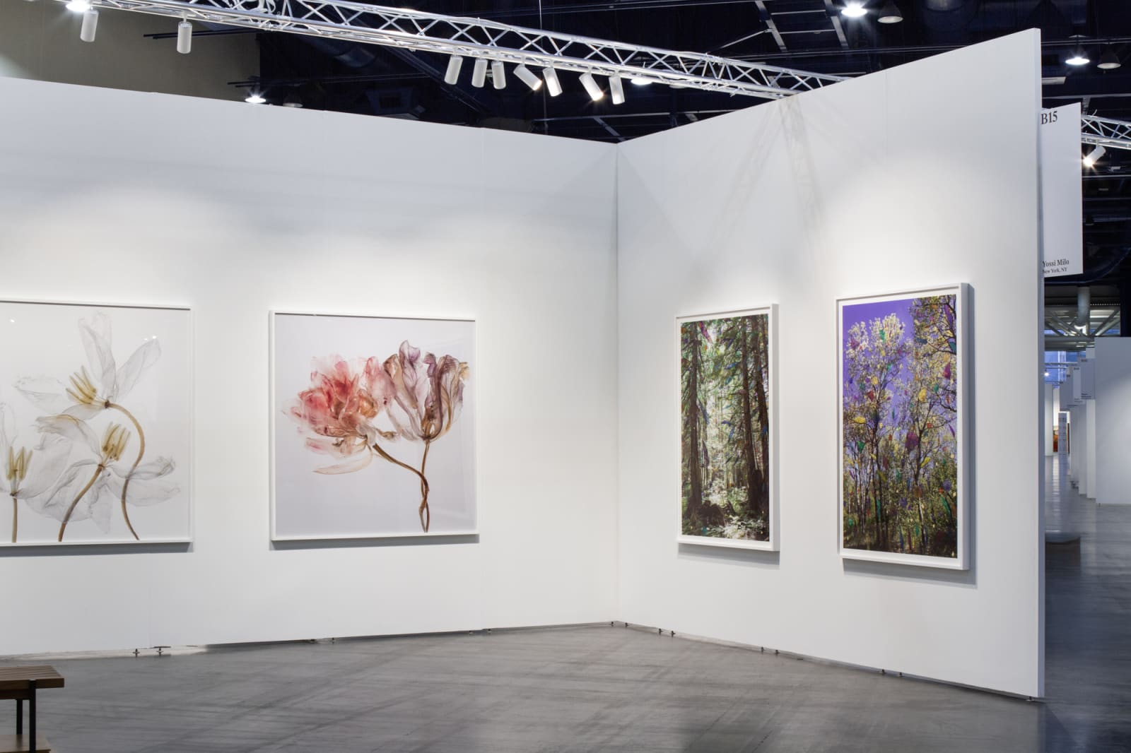 Yossi Milo at Untitled Art, Houston Booth B15 September 18-21, 2025