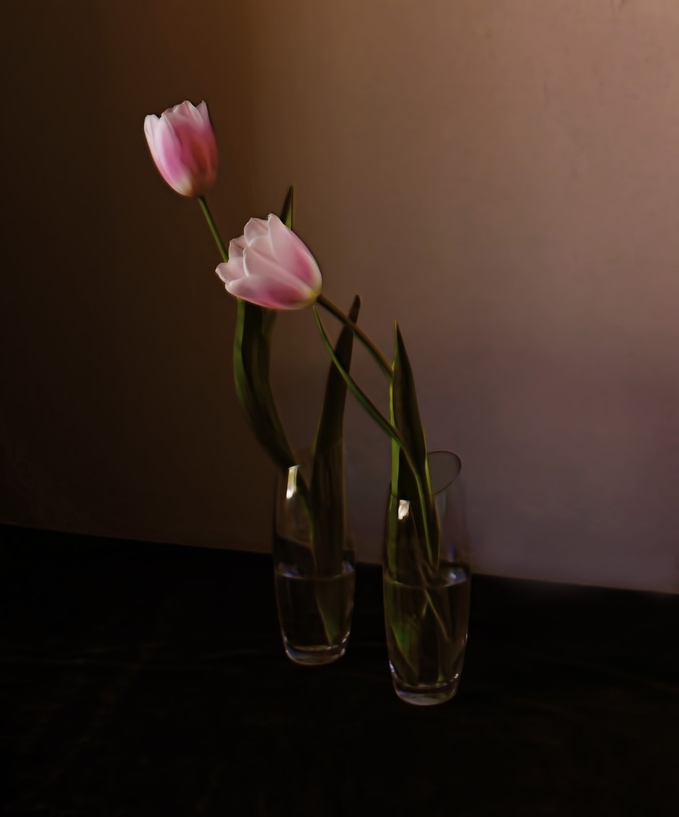 Still Life 5, 2020 Archival pigment print 18 x 15 in 45.7 x 38.1 cm Edition of 5 plus 2 artist's proofs