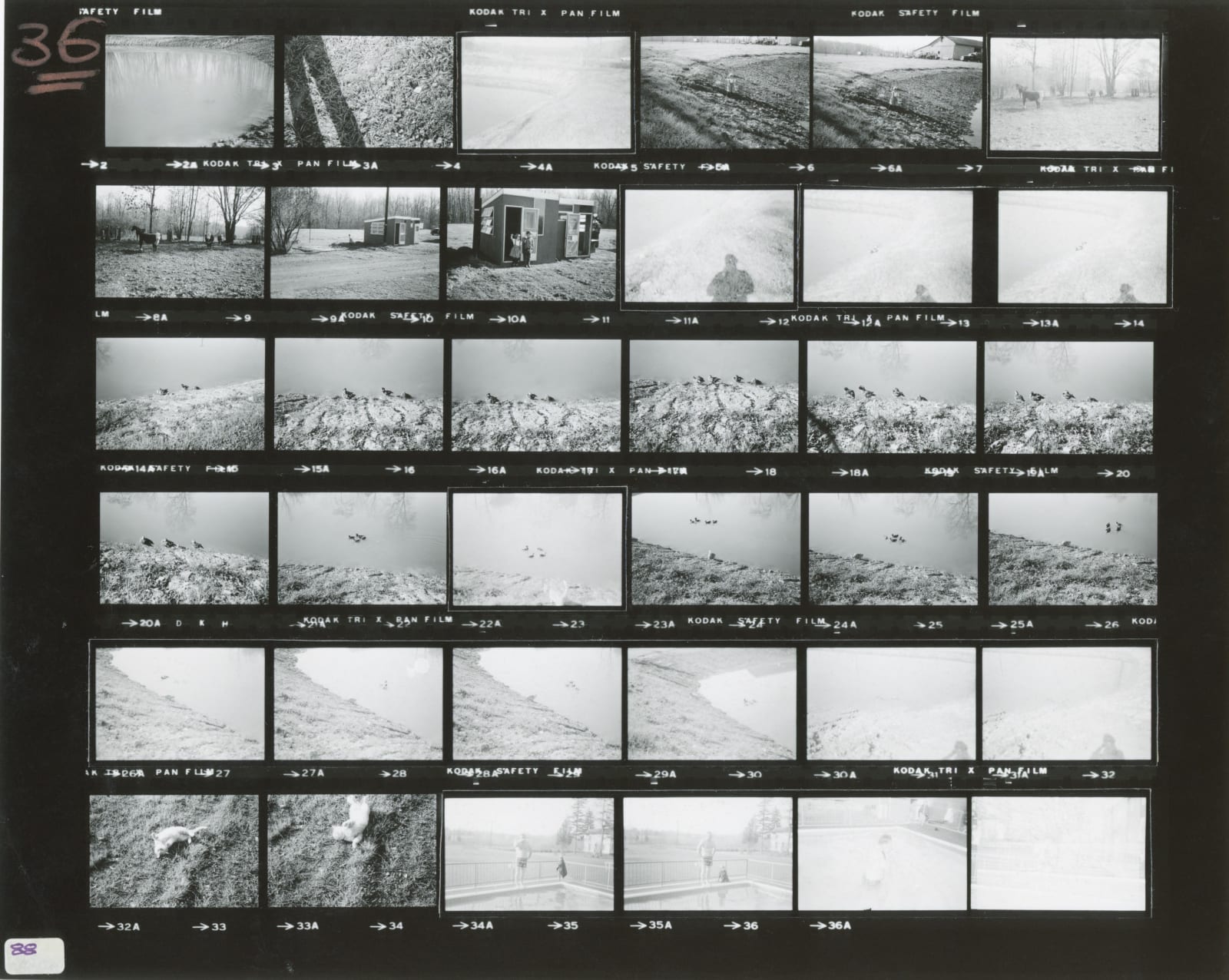 CONTACTS No. 88, O'Connor, Marison, New York © Ken Ohara