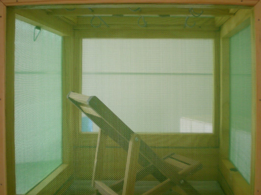 Debora Bolsoni, 2010 - Galeria Marilia Razuk