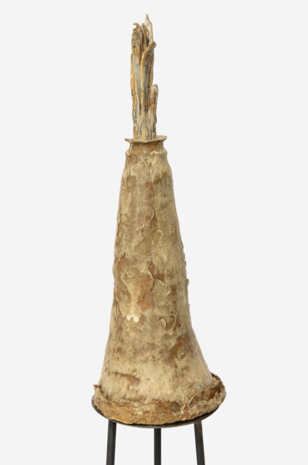 Carolina Colichio, Espécie 4 da série Companheiras, 2025