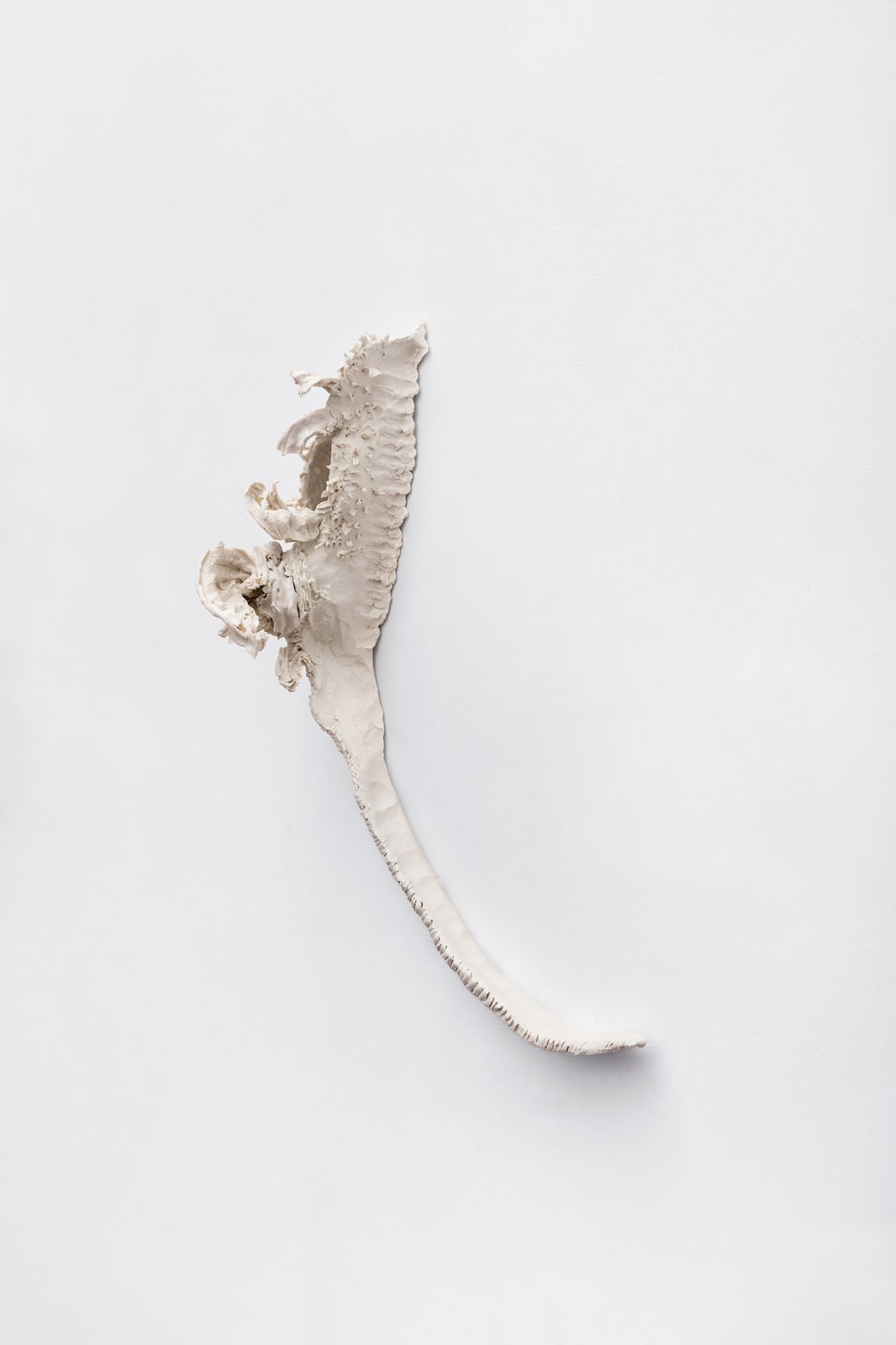 Carolina Colichio, Cauda II, 2025