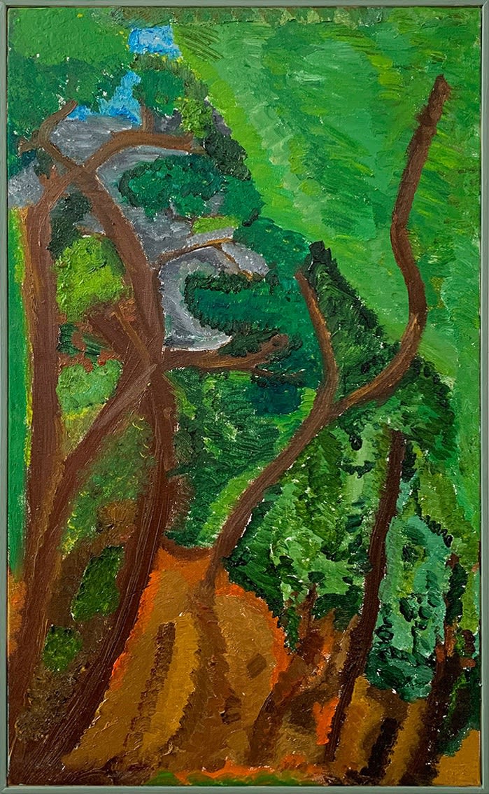 Evandro César, Troncos e barrancos (Trunks and ravines), 2021