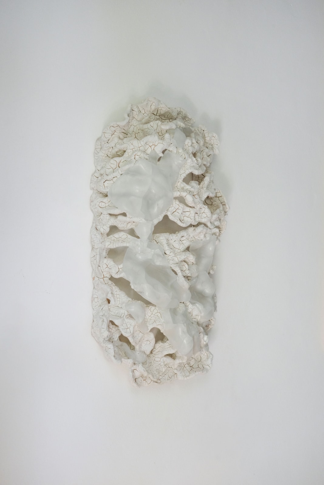 Anália Moraes, Costela n.11, 2024