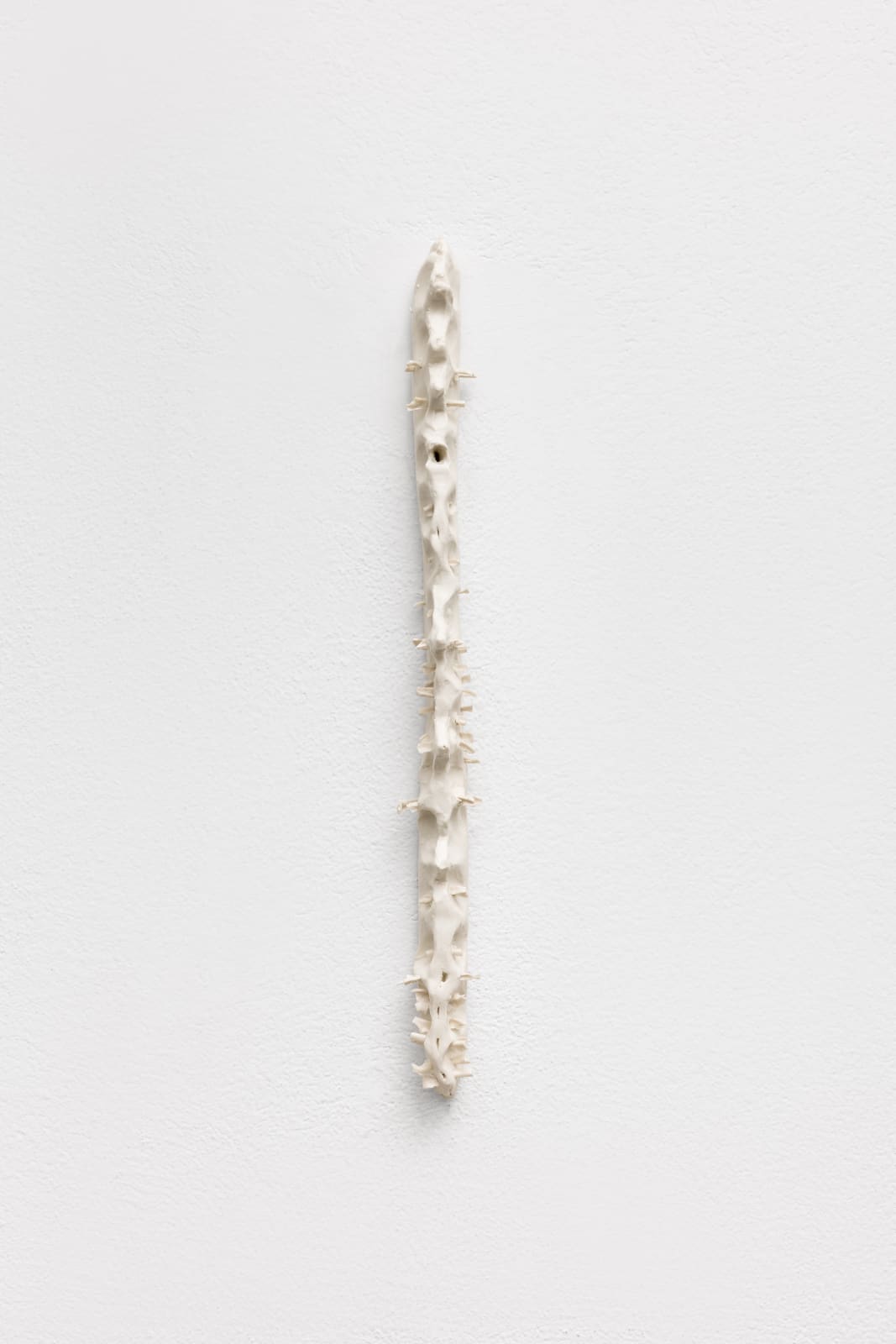 Carolina Colichio, Coluna III, 2025