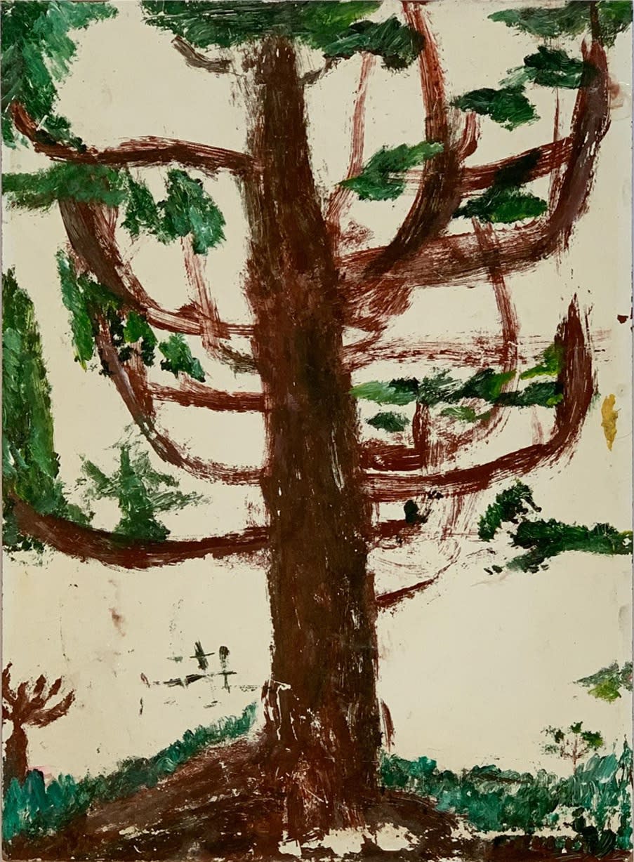 Link Museu, Araucária, 2021