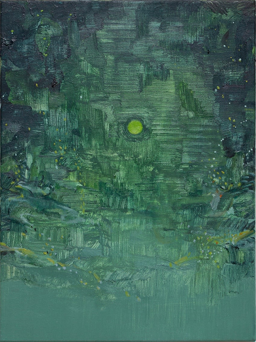 Alexandre Wagner, Fogos (Fires), 2019