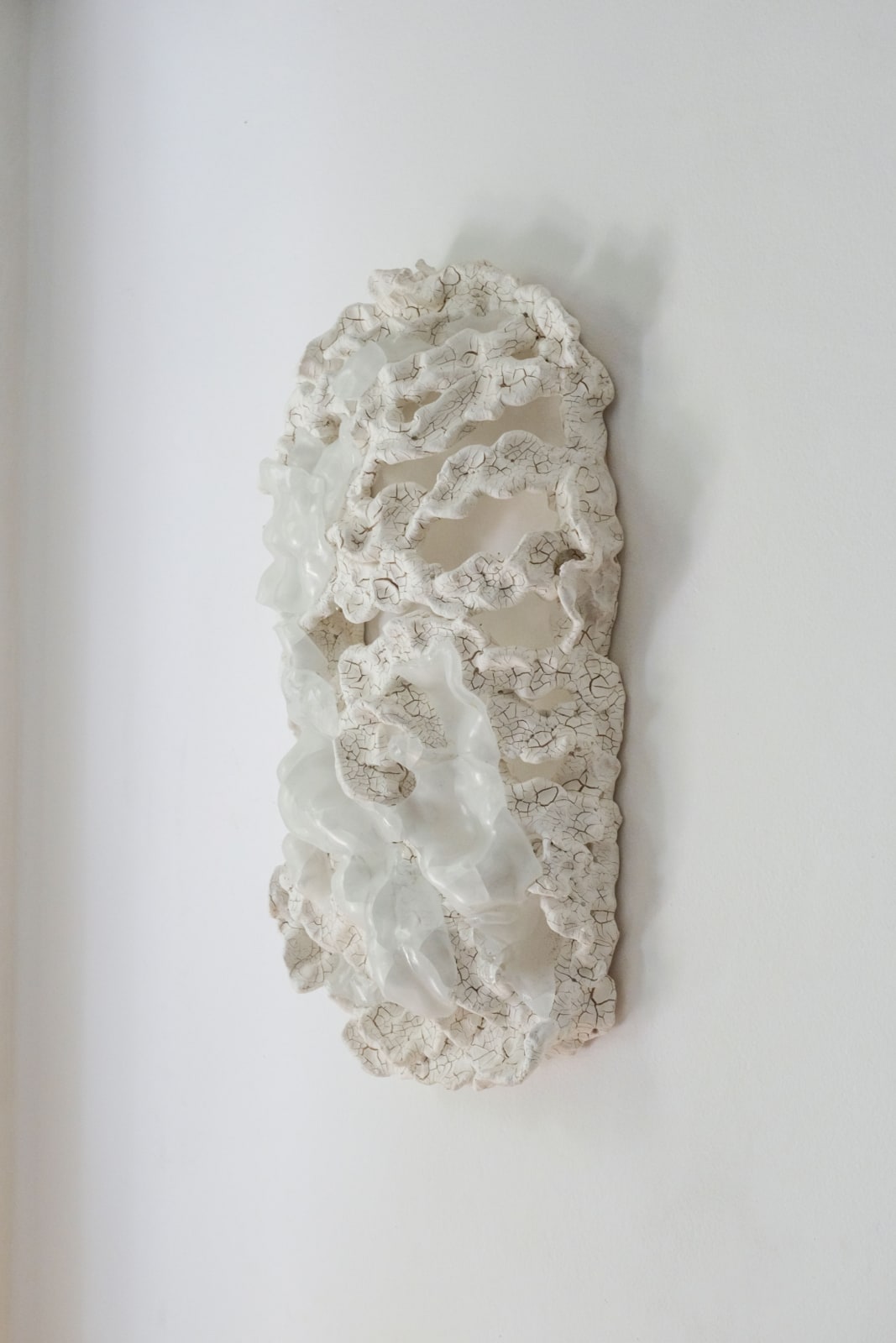 Anália Moraes, Costela n.11, 2024