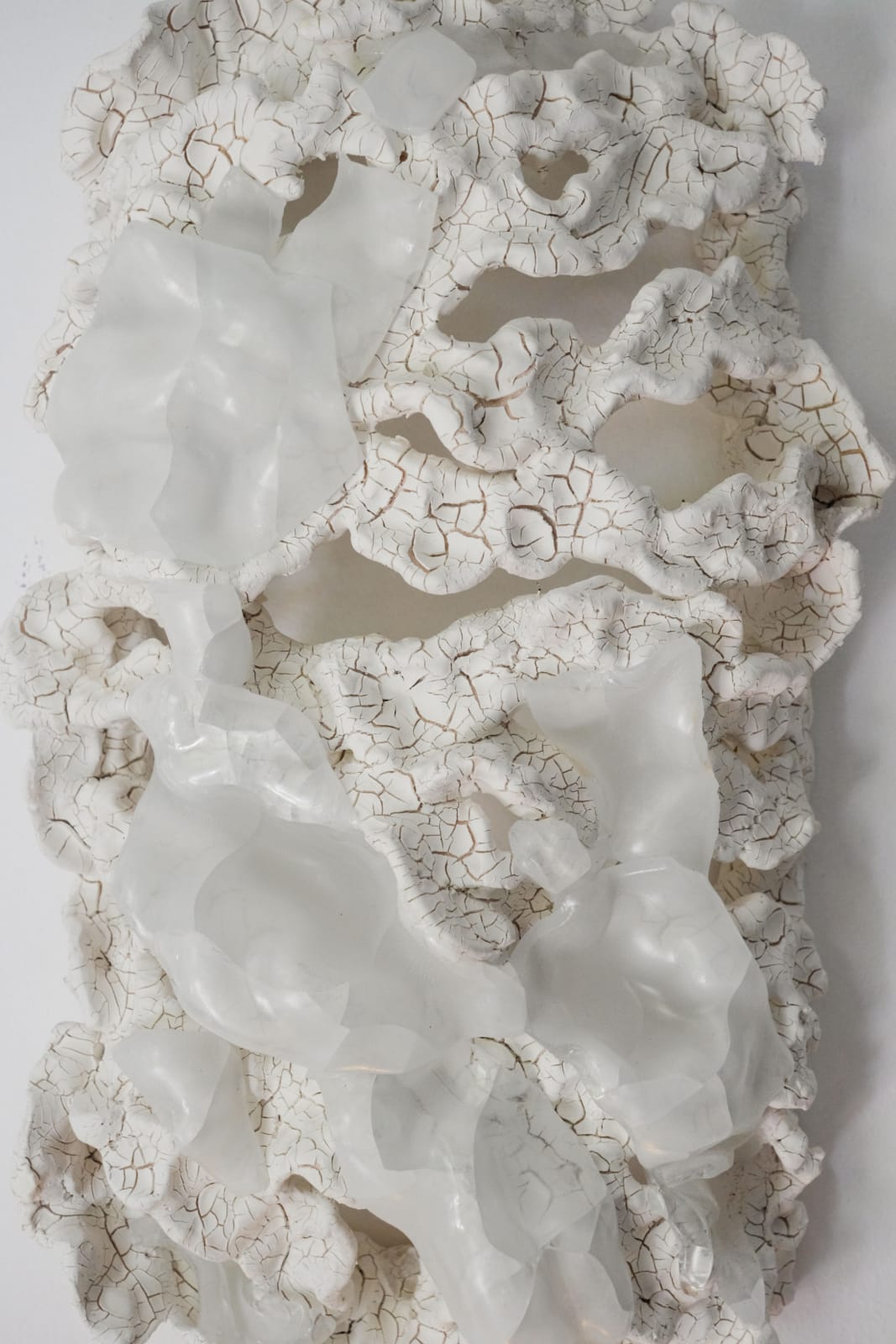Anália Moraes, Costela n.11, 2024