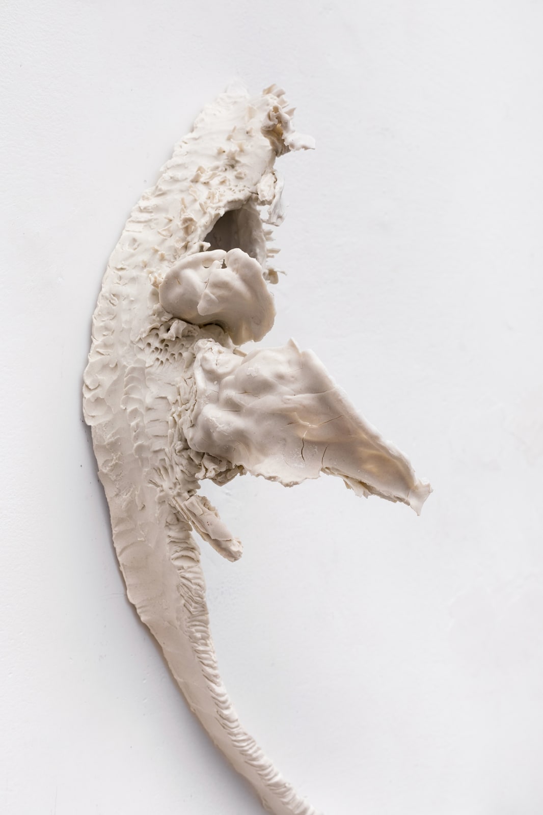 Carolina Colichio, Cauda II, 2025