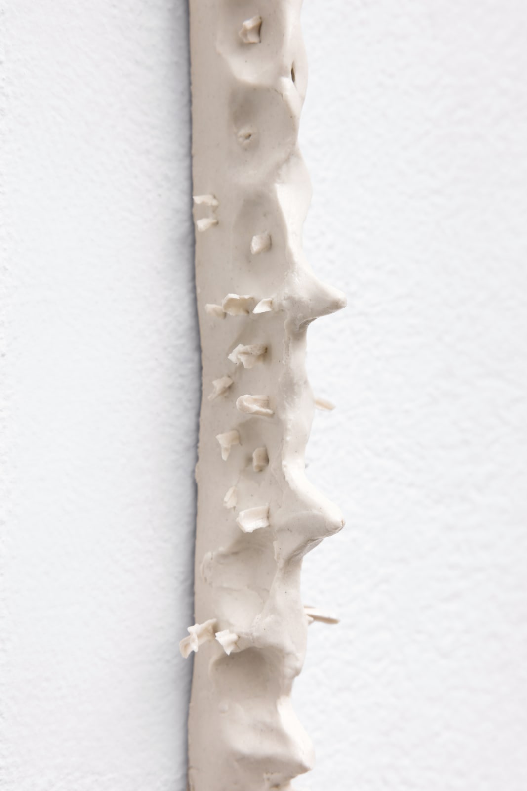 Carolina Colichio, Coluna III, 2025