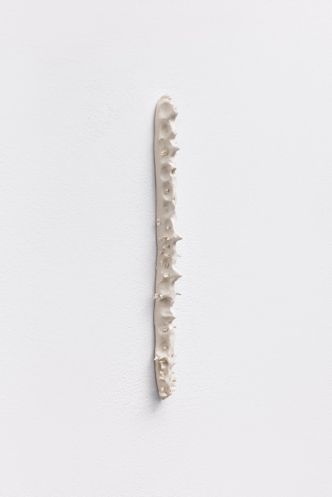 Carolina Colichio, Coluna III, 2025