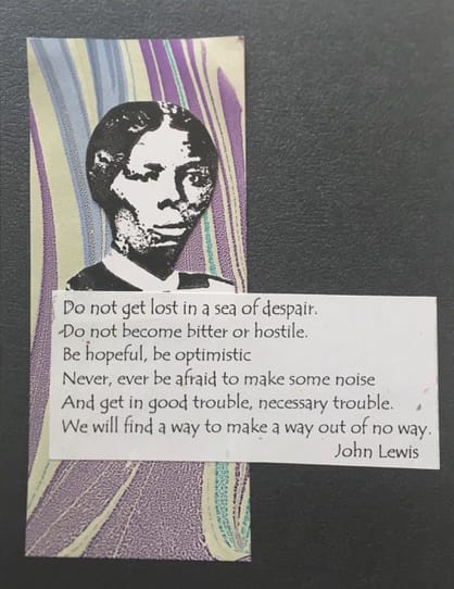 Janet Brodie, Do not get lost in a sea of despair. Do not become bitter or hostile. Be hopeful, be optimistic. Never, ever be afraid to make some noise and get in good trouble, necessary trouble. We will find a way to make a way out of no way. - John Lewis , 2020