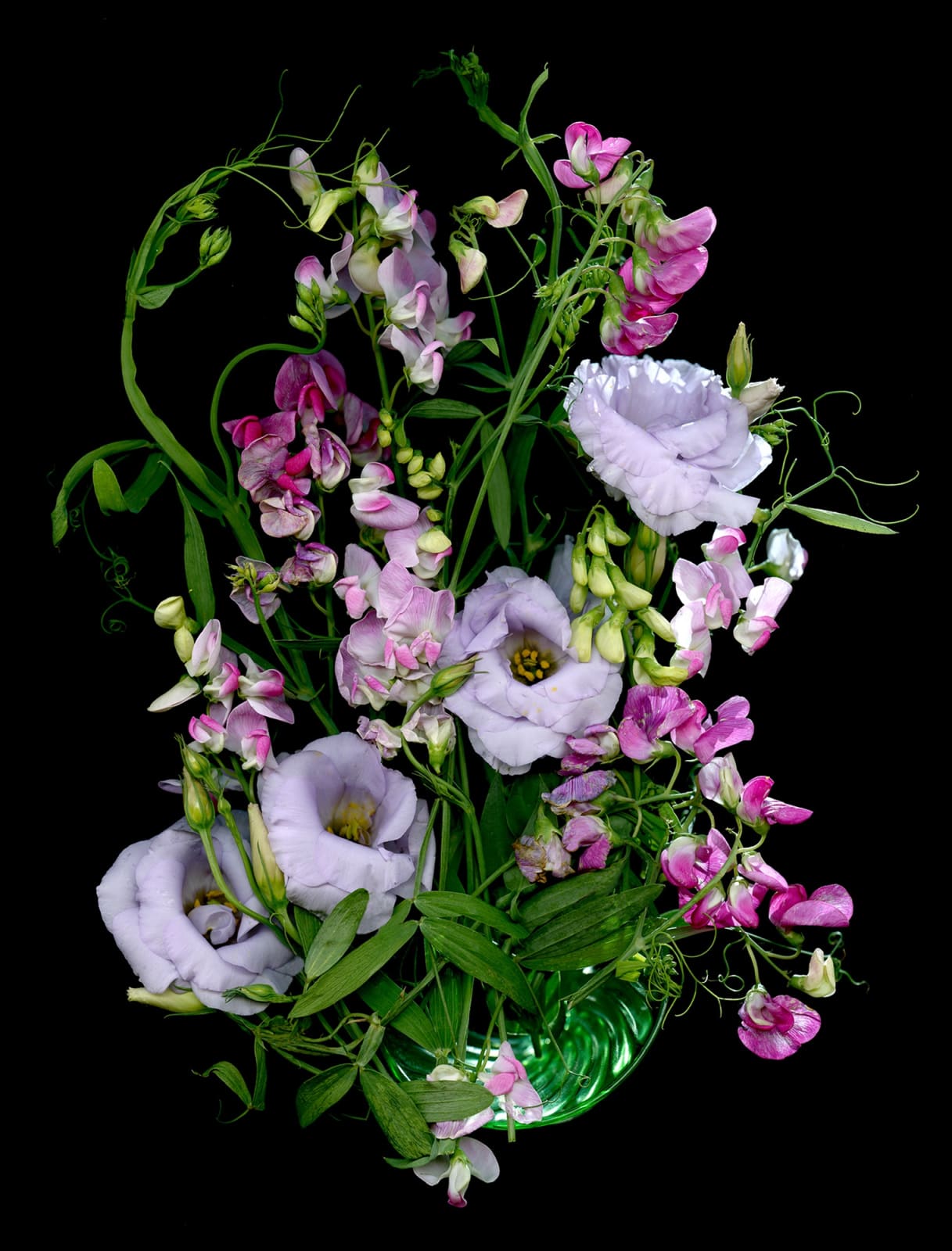 Color photograph