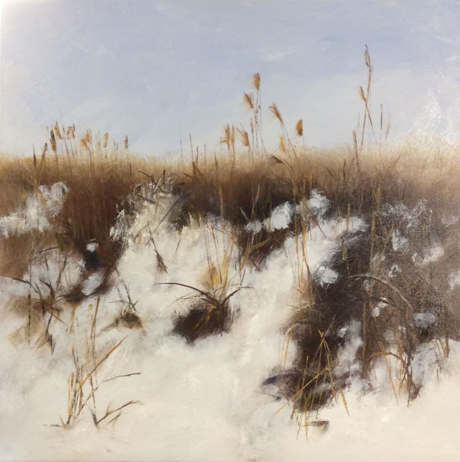 Deborah Greco, Snow Dune, 2019
