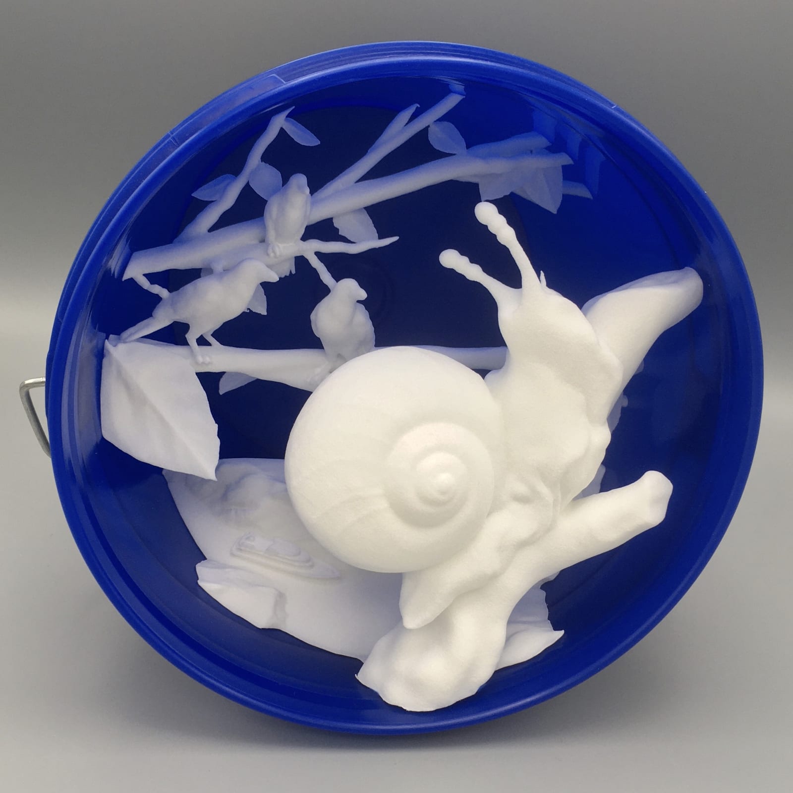 A crawling white snail