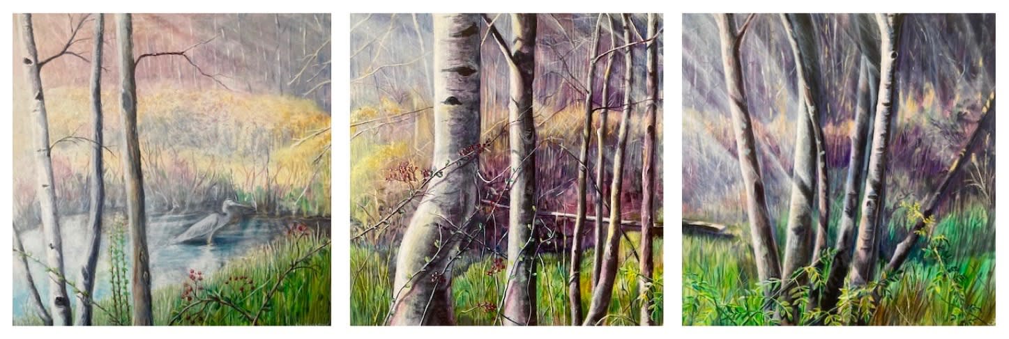 Three paintings of Connecticut trails