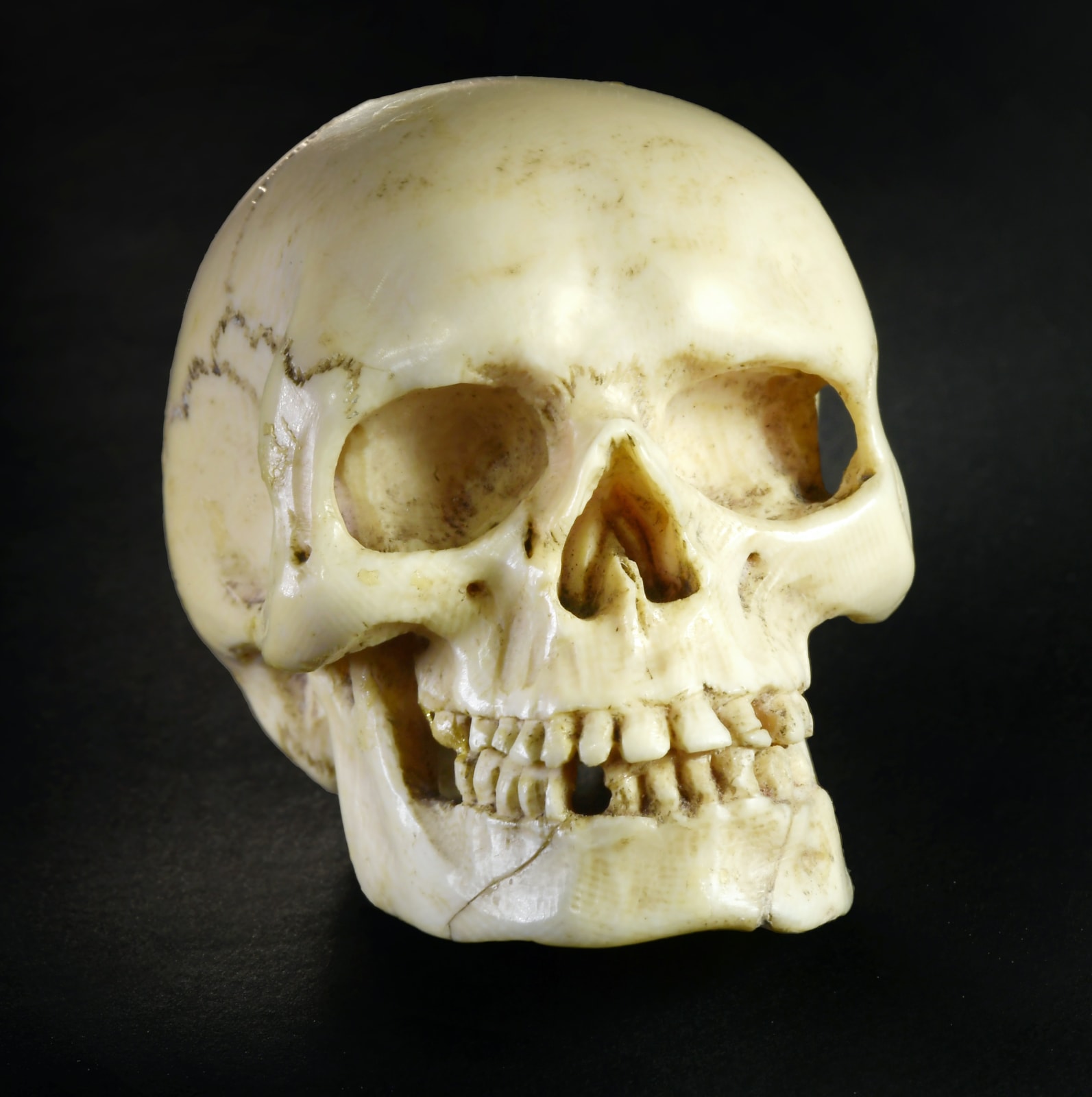 Memento Mori: A German 17th-century Ivory Skull, ca. 1650