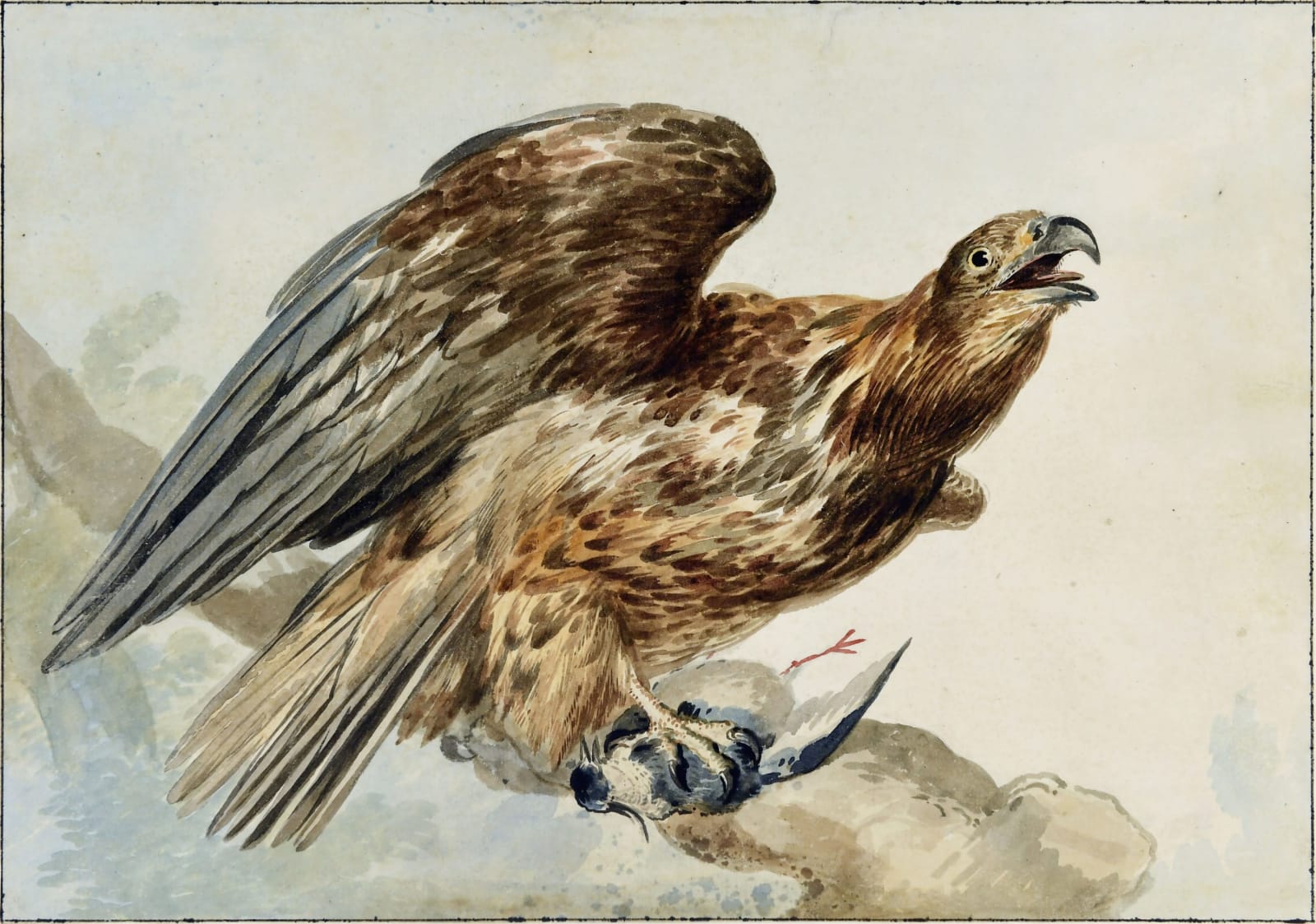 Aert Schouman (Dordrecht 1710 - 1792 The Hague), A Sea Eagle with its Prey