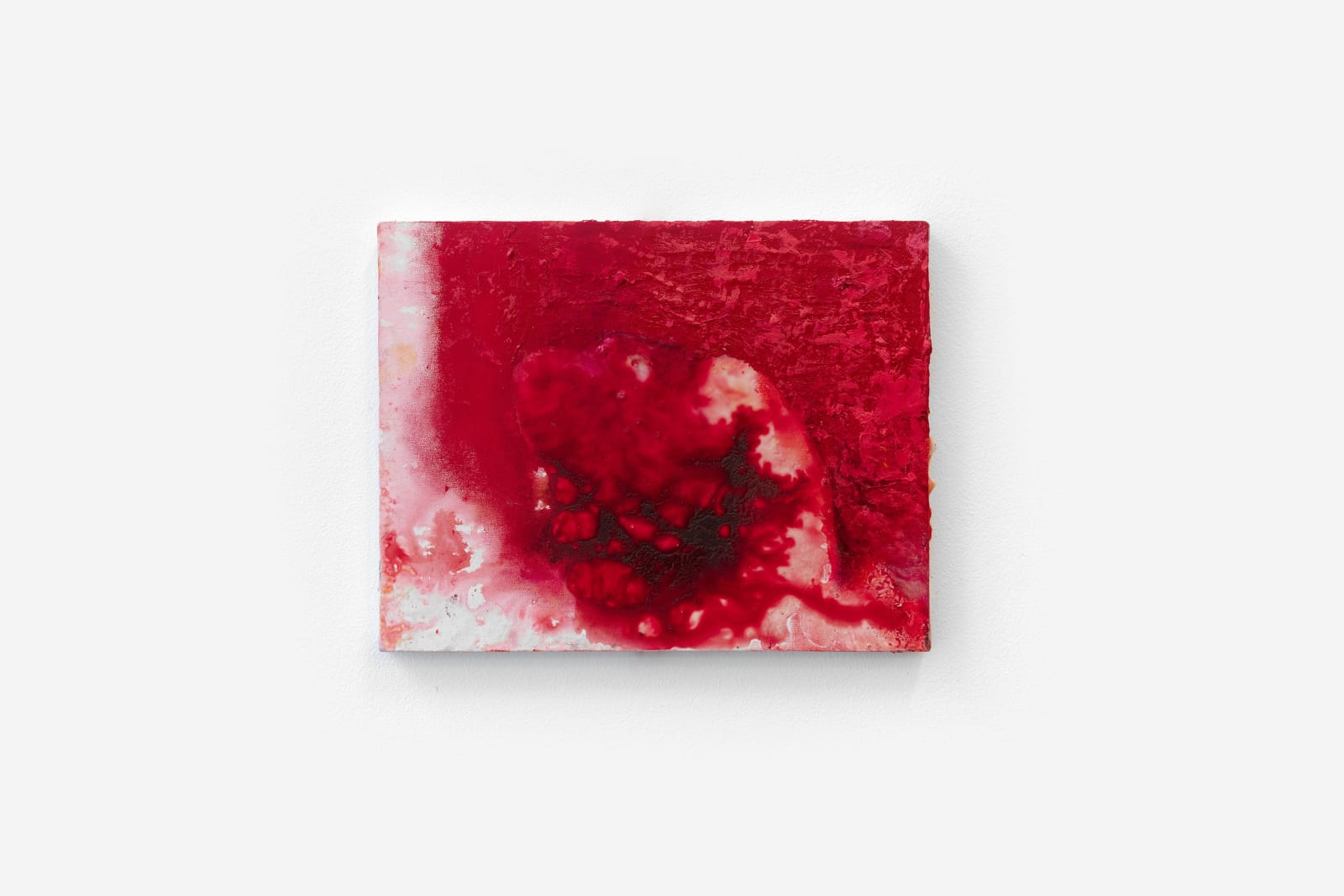 Everything Begins, 2021-22